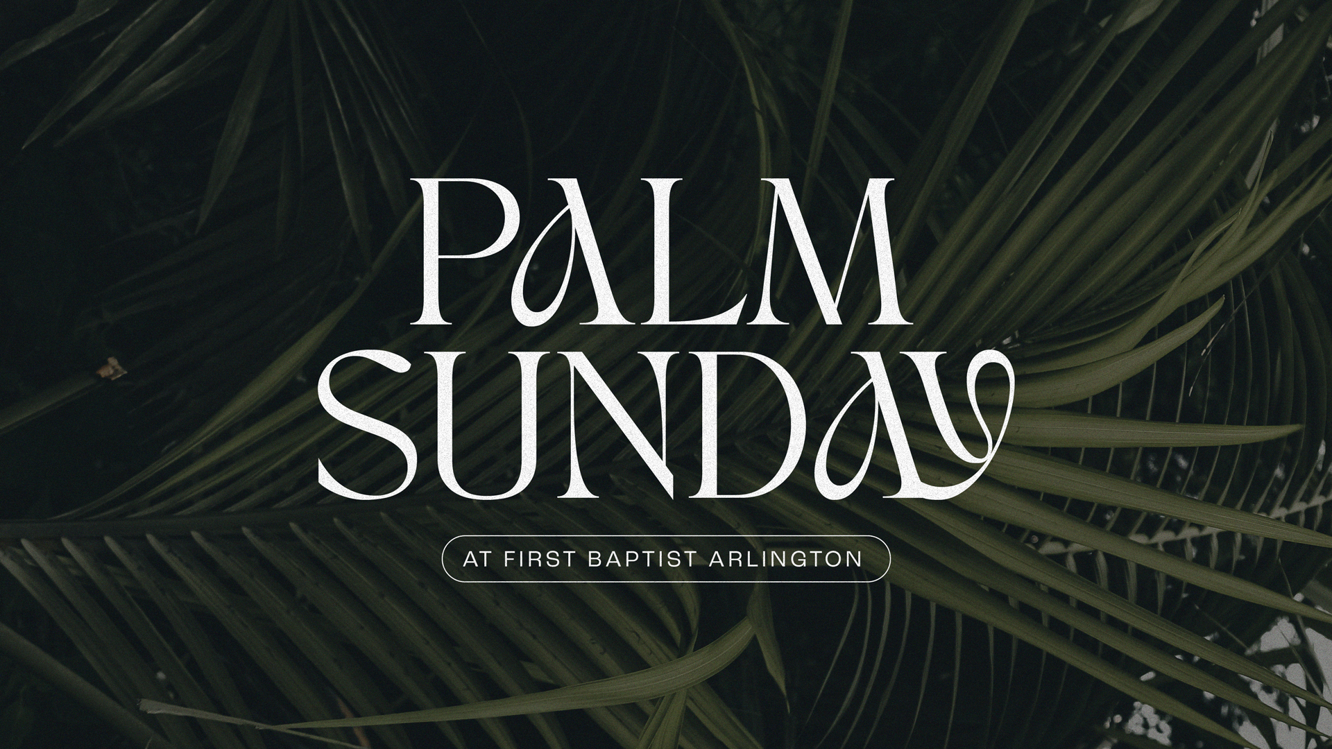 PalmSunday_Temp